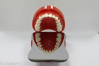 Dental Intraoral Orthodontic Photographic Glass Mirror 2sided E Rhodium Occlusal