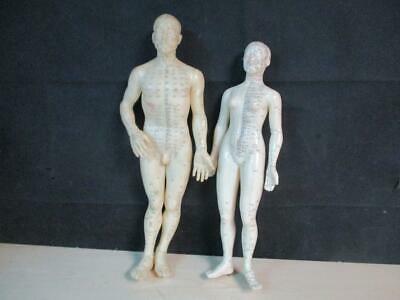 Vintage Acupuncture Male(20") & Female(19") Rubber Teaching Models