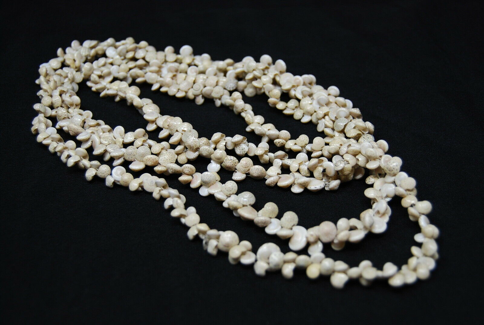 2 Tiny Beaded Seashell Necklaces Umbonium Speckled Sea Snail Shell Lei Tiki 36”
